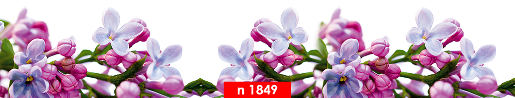 n 1849